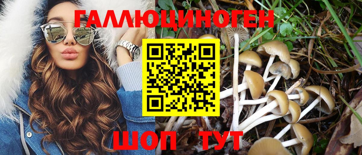 Приморско-Ахтарск  Галлюциногенные грибы ЛСД  цена   Вход с VPN 